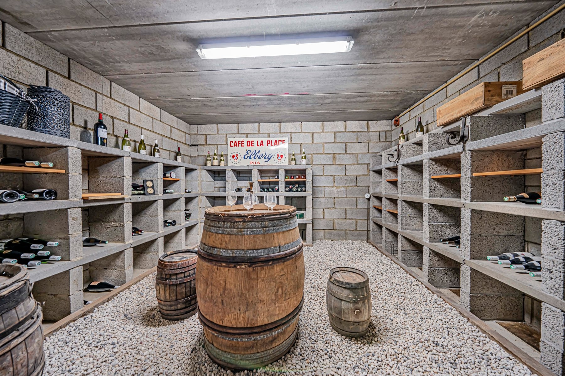 7705607_77771569.jpg